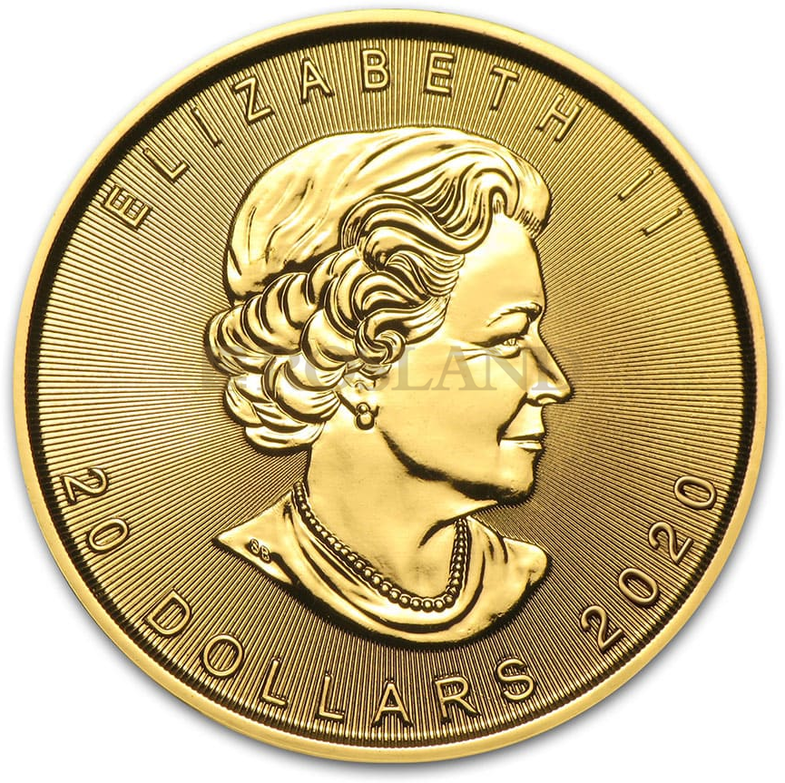 1/2 Unze Goldmünze Kanada Maple Leaf 2020