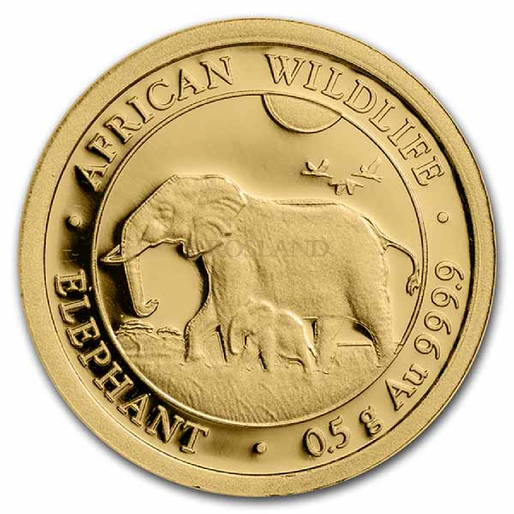 1/2 Gramm Goldmünze Somalia Elefant 2022