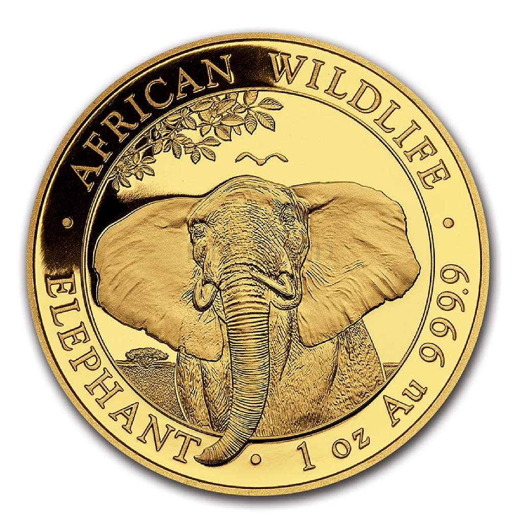1 Unze Goldmünze Somalia Elefant 2021 PCGS MS-69