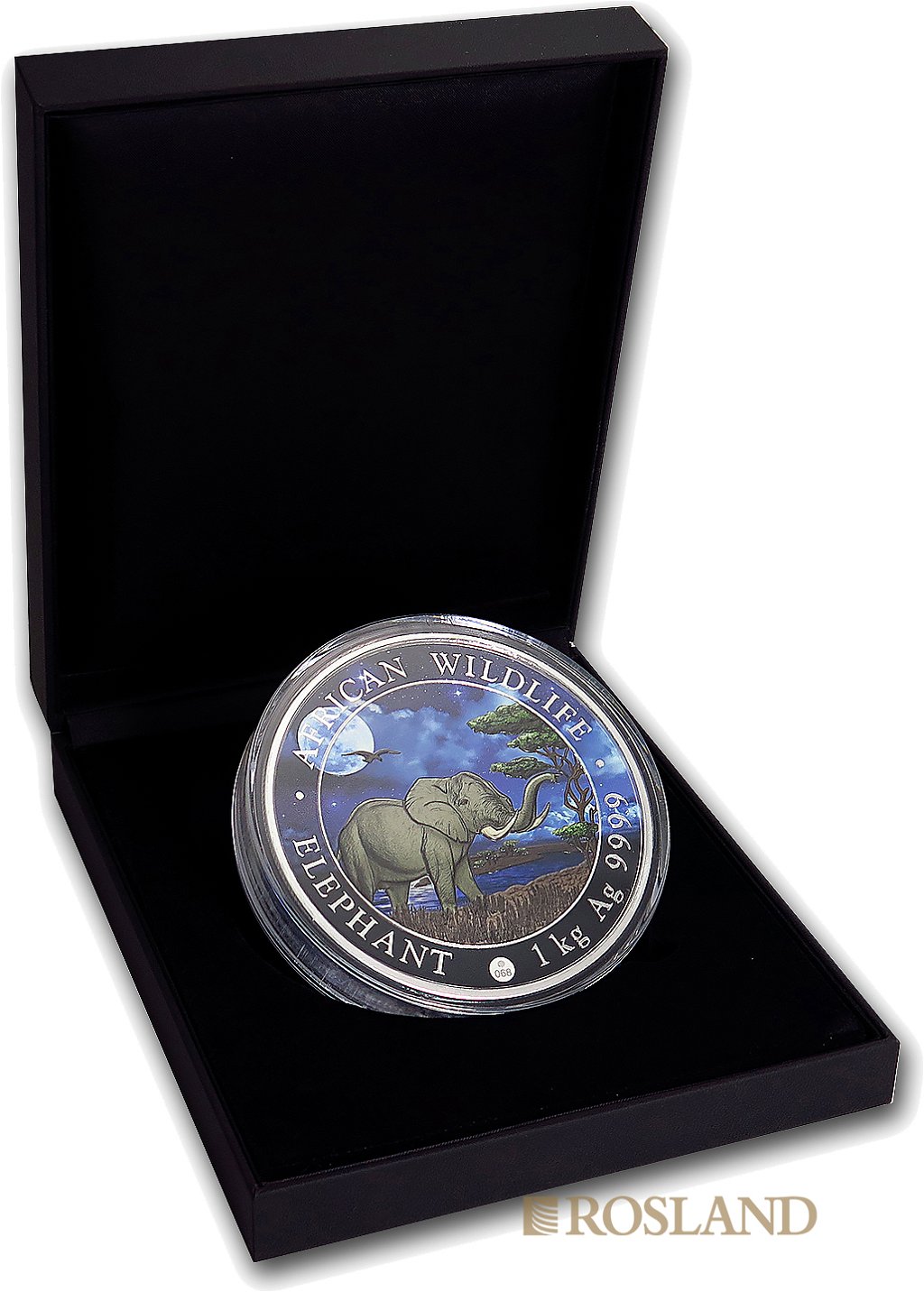 1 Kilogramm Silbermünze Somalia Elefant 2019 Riesenmond PL (Koloriert, Box, Zertifikat)