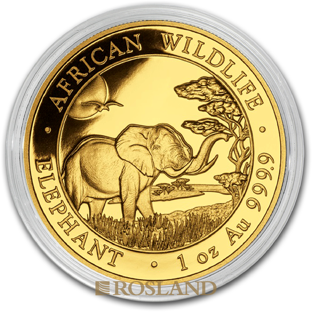 1 Unze Goldmünze Somalia Elefant 2019