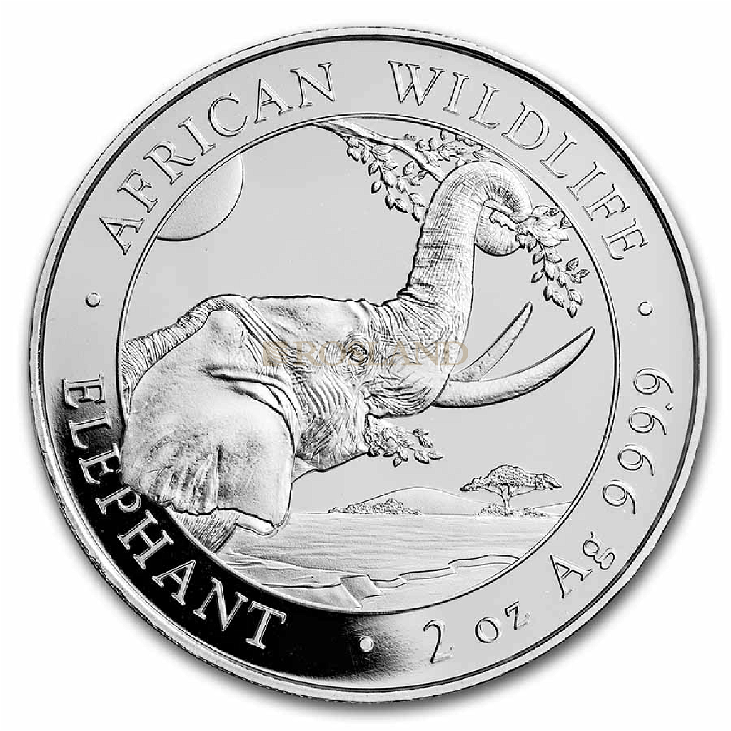 2 Unzen Silbermünze Somalia Elefant 2023