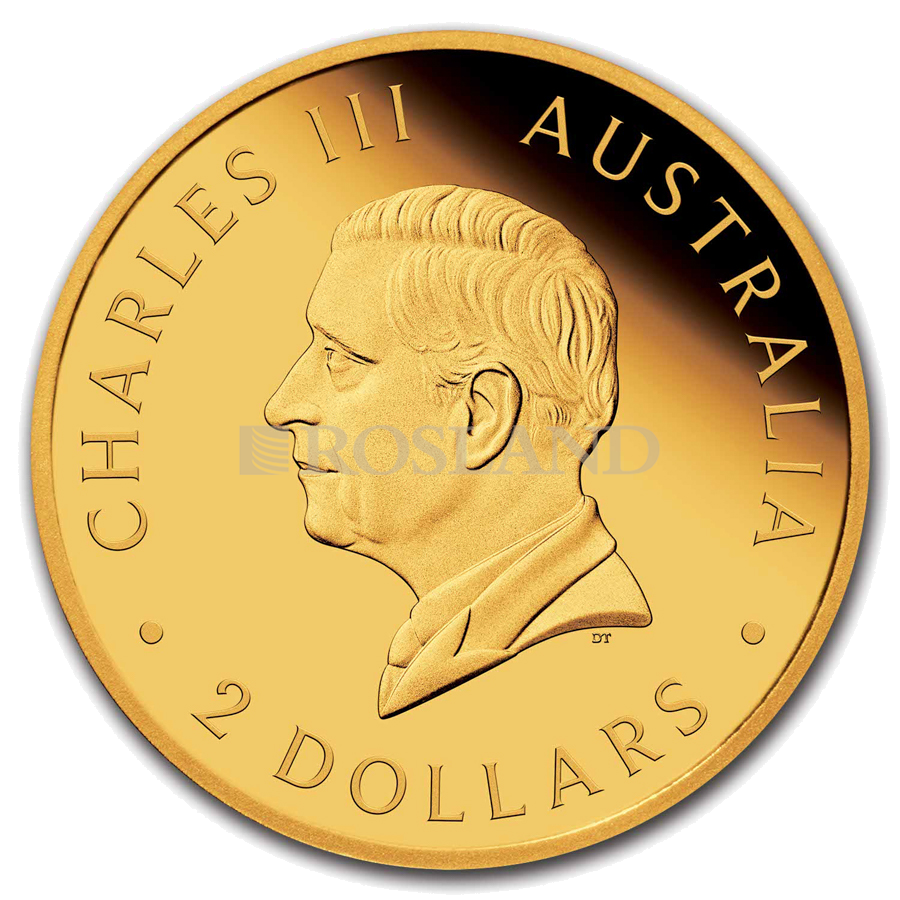 1/2 Gramm Goldmünze Australien Känguru 2024 (Blister, Zertifikat)