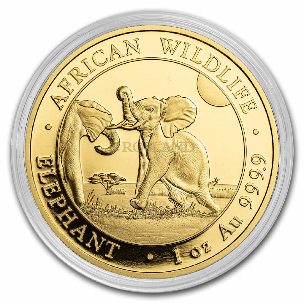 1 Unze Goldmünze Somalia Elefant 2024