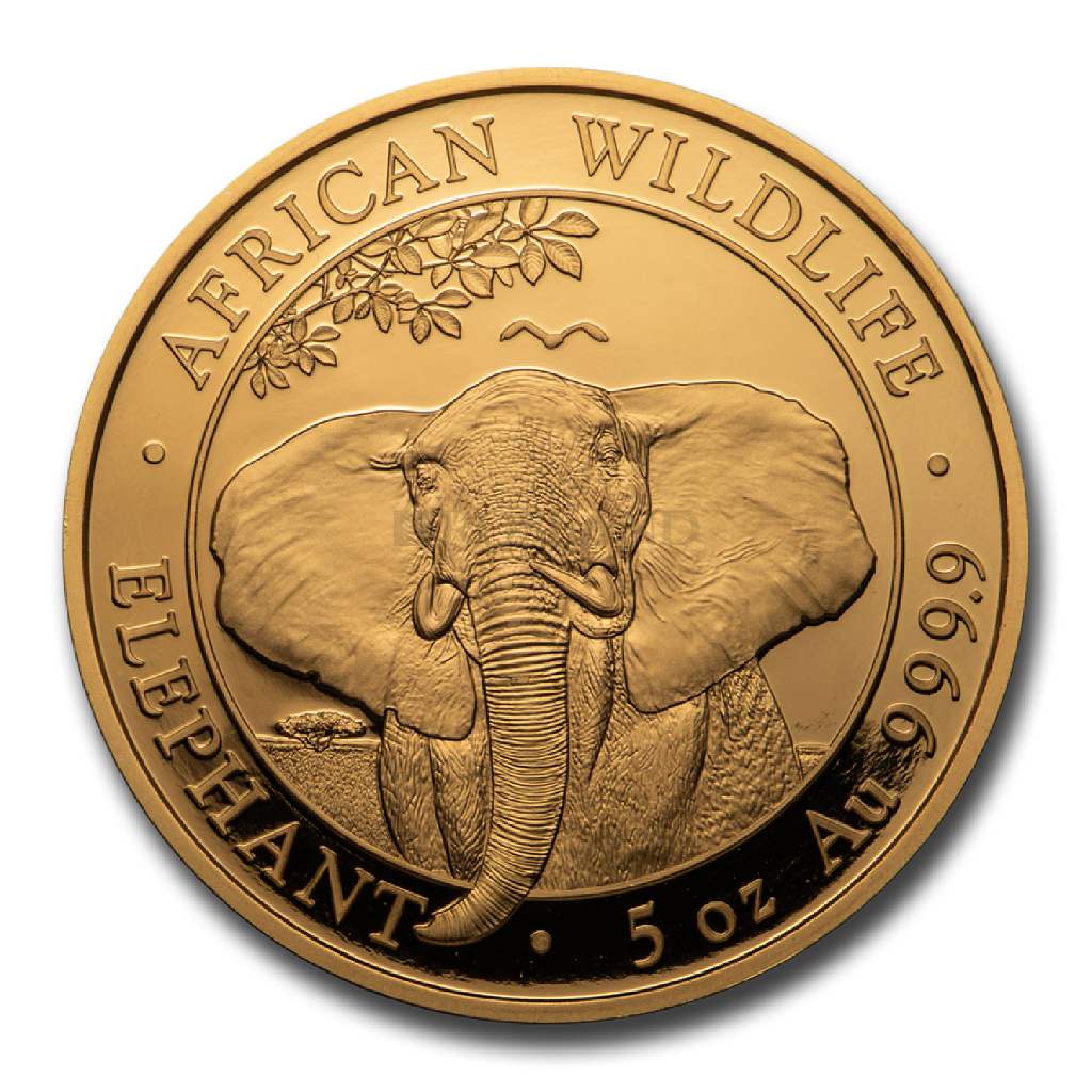 5 Unzen Goldmünze Somalia Elefant 2021 PP (Box, Zertifikat)