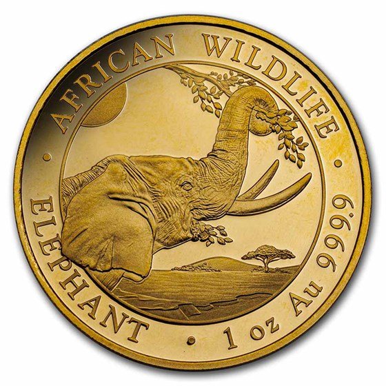 1,85 Unzen 4 Goldmünzen Somalia Elefant 2023 Set PP (Box, Zertifikat) 