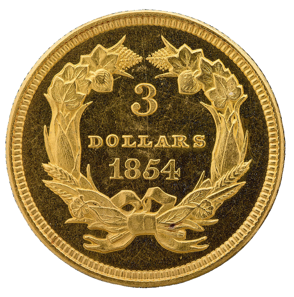 $3 Indian Princess 1854-1889