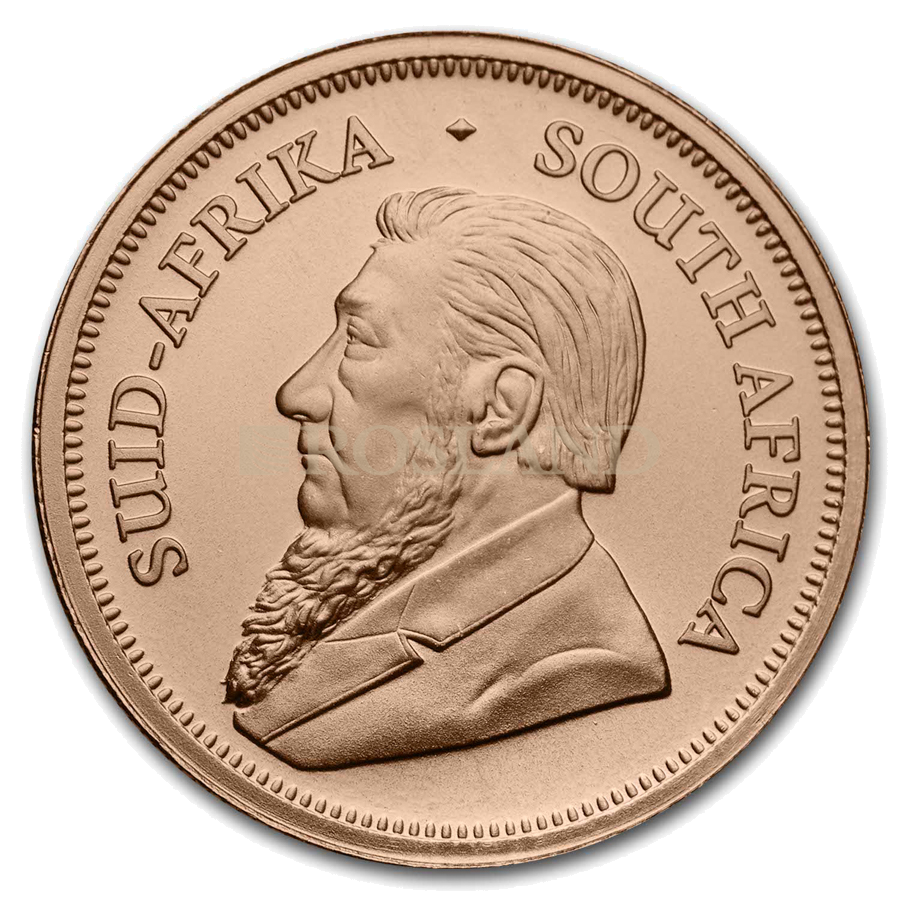 1/2 Unze Goldmünze Krügerrand 2025