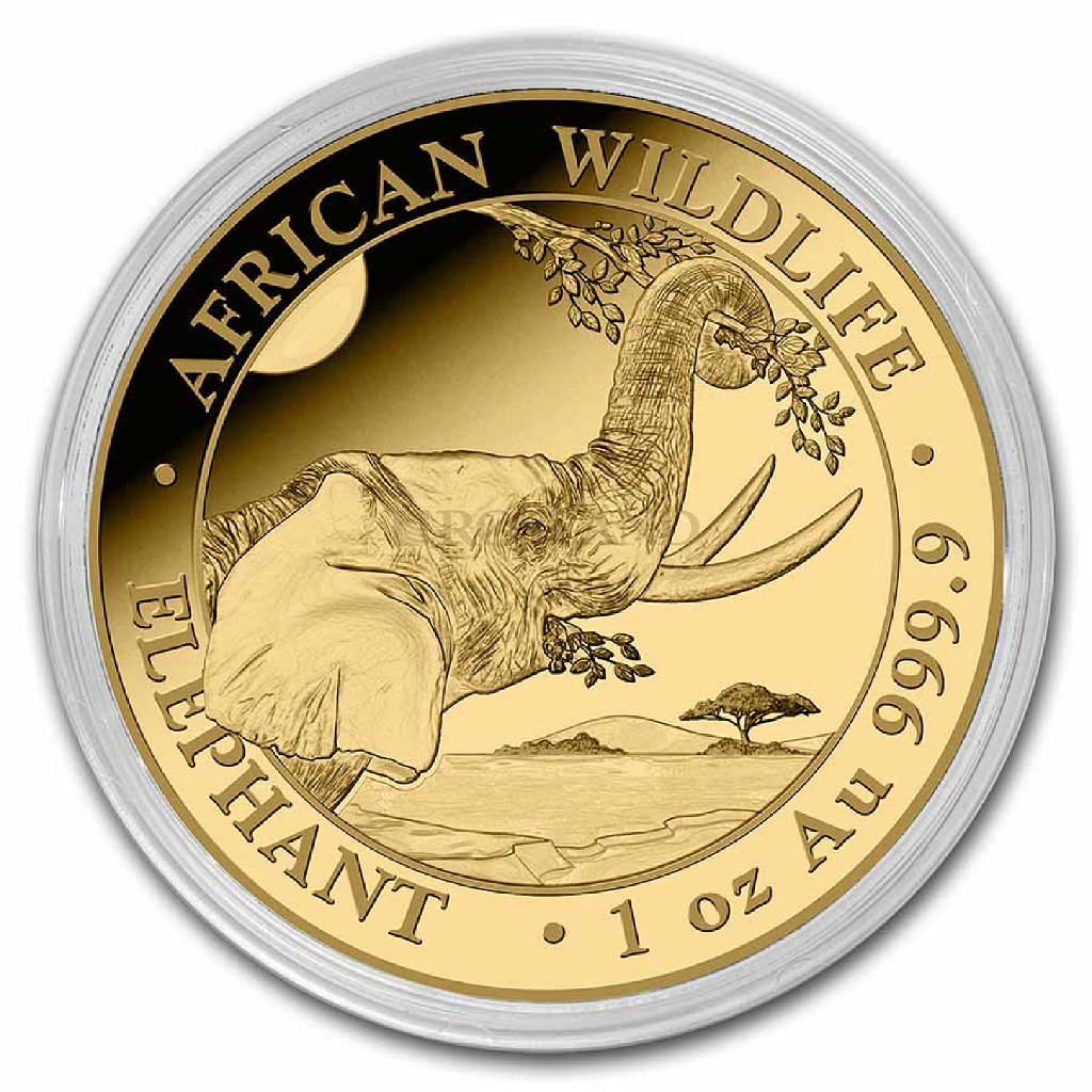 1 Unze Goldmünze Somalia Elefant 2023