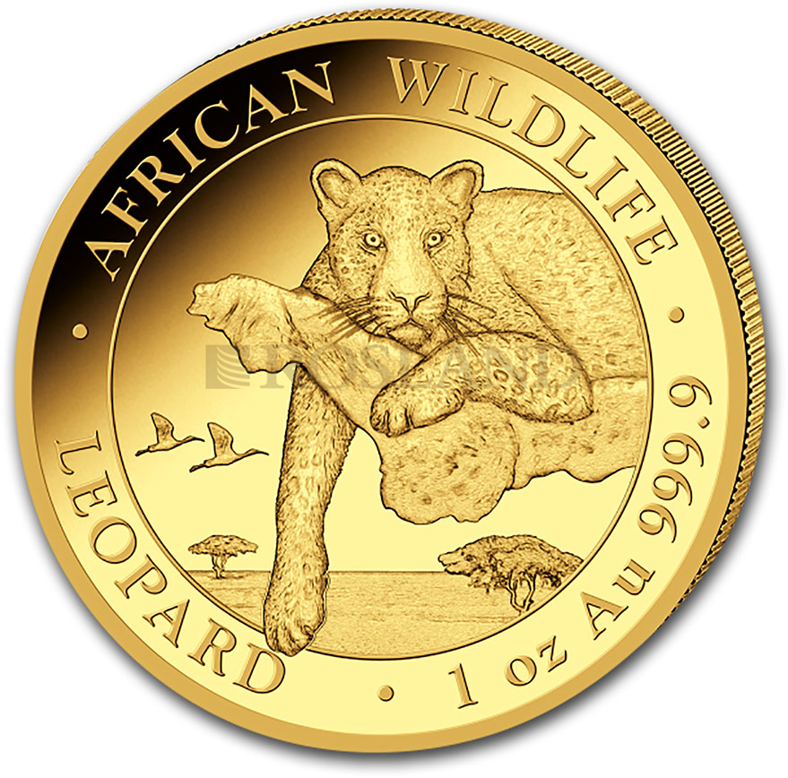 1 Unze Goldmünze Somalia Leopard 2020